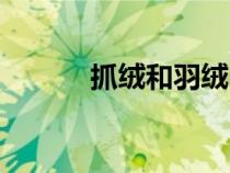 抓絨和羽絨內膽哪個好（抓絨）