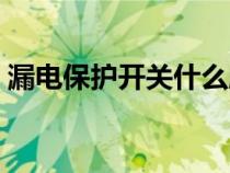 漏電保護(hù)開關(guān)什么牌子好(開關(guān)什么牌子好) 漏電保護(hù)開關(guān)什么牌子好(開關(guān)什么牌子好)