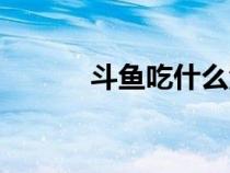 斗魚(yú)吃什么活物（斗魚(yú)吃什么）