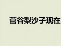 菅谷梨沙子現(xiàn)在身高體重（菅谷梨沙子）