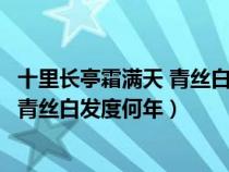 十里長(zhǎng)亭霜滿天 青絲白發(fā)度何年今生無(wú)悔(十里長(zhǎng)亭霜滿天青絲白發(fā)度何年) 十里長(zhǎng)亭霜滿天 青絲白發(fā)度何年今生無(wú)悔(十里長(zhǎng)亭霜滿天青絲白發(fā)度何年)