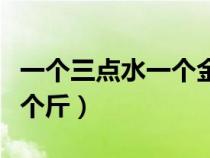 一個(gè)三點(diǎn)水一個(gè)金字是什么字(一個(gè)三點(diǎn)水一個(gè)斤) 一個(gè)三點(diǎn)水一個(gè)金字是什么字(一個(gè)三點(diǎn)水一個(gè)斤)