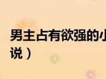男主占有欲強(qiáng)的小說(shuō)晉江(男主占有欲強(qiáng)的小說(shuō)) 男主占有欲強(qiáng)的小說(shuō)晉江(男主占有欲強(qiáng)的小說(shuō))