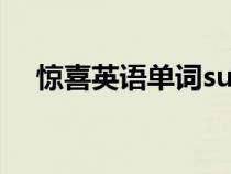 驚喜英語單詞surprise（驚喜英語單詞）
