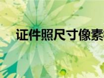 證件照尺寸像素標準（證件照尺寸像素）