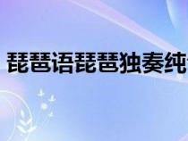 琵琶語琵琶獨奏純音樂（琵琶語純音樂下載）