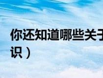 你還知道哪些關(guān)于蜜蜂的知識(shí)（關(guān)于蜜蜂的知識(shí)）