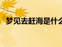 夢(mèng)見去趕海是什么意思（趕海是什么意思）