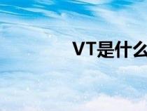 VT是什么檢測（vt是什么）