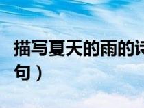 描寫夏天的雨的詩句小學(xué)（描寫夏天的雨的詩句）