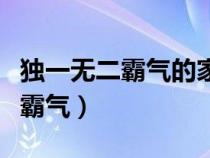 獨(dú)一無二霸氣的家族名字（傳奇家族名字大全霸氣）