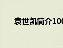 袁世凱簡(jiǎn)介100字左右（袁世凱簡(jiǎn)介）