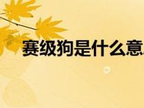賽級(jí)狗是什么意思（賽級(jí)犬是什么意思）