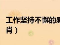 工作堅(jiān)持不懈的感想（堅(jiān)持工作不彷徨打一生肖）