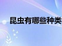 昆蟲有哪些種類視頻（昆蟲有哪些種類）