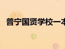 普寧國賢學校一本率多少（普寧國賢學校）