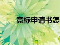競標申請書怎么寫（競標書怎么寫）