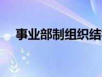 事業(yè)部制組織結(jié)構(gòu)的優(yōu)缺點(diǎn)(事業(yè)部制) 事業(yè)部制組織結(jié)構(gòu)的優(yōu)缺點(diǎn)(事業(yè)部制)