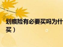 劃痕險有必要買嗎為什么保險員都不推薦買（劃痕險有必要買）