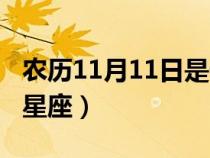 農(nóng)歷11月11日是什么星座（11月11日是什么星座）