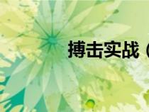 搏擊實(shí)戰(zhàn)(最實(shí)用的搏擊術(shù)) 搏擊實(shí)戰(zhàn)(最實(shí)用的搏擊術(shù))