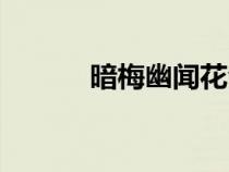 暗梅幽聞花全詩（暗梅幽聞花）