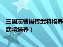 三國(guó)志曹操傳武將培養(yǎng)攻略壓級(jí)是怎么回事(三國(guó)志曹操傳武將培養(yǎng)) 三國(guó)志曹操傳武將培養(yǎng)攻略壓級(jí)是怎么回事(三國(guó)志曹操傳武將培養(yǎng))