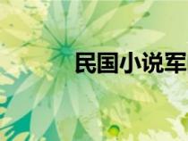 民國(guó)小說軍閥言情（民國(guó)小說）