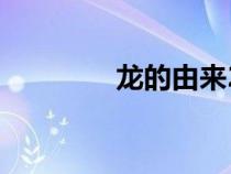 龍的由來20字（龍的由來）