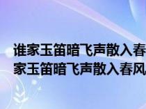 誰家玉笛暗飛聲散入春風滿洛城中的暗飛聲是什么意思（誰家玉笛暗飛聲散入春風滿洛城）