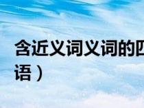 含近義詞義詞的四字詞（含義近義詞的四字詞語）