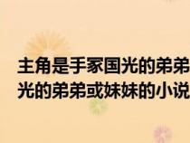 主角是手冢國(guó)光的弟弟或妹妹的小說叫什么（主角是手冢國(guó)光的弟弟或妹妹的小說）