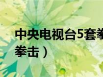 中央電視臺5套拳擊主持人（中央電視臺5套拳擊）