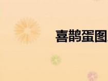 喜鵲蛋圖片大全（喜鵲蛋）