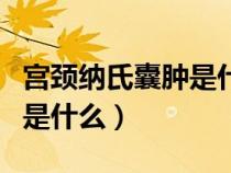 宮頸納氏囊腫是什么樣子圖片（宮頸納氏囊腫是什么）