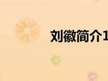 劉徽簡介100字（劉徽簡介）