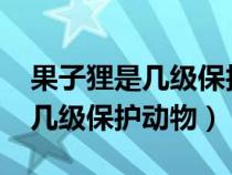 果子貍是幾級保護(hù)動物2023年的（果子貍是幾級保護(hù)動物）