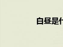 白晝是什么意思（白晝）
