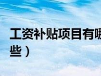 工資補(bǔ)貼項(xiàng)目有哪些類型(工資補(bǔ)貼項(xiàng)目有哪些) 工資補(bǔ)貼項(xiàng)目有哪些類型(工資補(bǔ)貼項(xiàng)目有哪些)