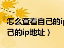 怎么查看自己的ip地址子網(wǎng)掩碼（怎么查看自己的ip地址）