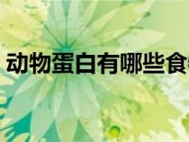 動物蛋白有哪些食物（植物蛋白有哪些食物）