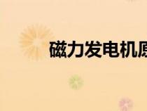 磁力發(fā)電機(jī)原理圖(磁力發(fā)電機(jī)) 磁力發(fā)電機(jī)原理圖(磁力發(fā)電機(jī))