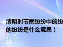 清明時節(jié)雨紛紛中的紛紛是什么意思呀（清明時節(jié)雨紛紛中的紛紛是什么意思）