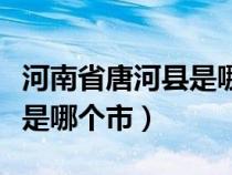 河南省唐河縣是哪個(gè)市的城市（河南省唐河縣是哪個(gè)市）