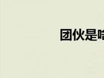 團(tuán)伙是啥(團(tuán)伙的定義) 團(tuán)伙是啥(團(tuán)伙的定義)