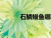 石鱗鰻魚哪里釣率最高(石鱗) 石鱗鰻魚哪里釣率最高(石鱗)