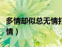 多情卻似總無情打一最佳生肖（多情卻似總無情）