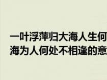 一葉浮萍?xì)w大海人生何處不相逢是什么生肖（一葉浮萍?xì)w大海為人何處不相逢的意思）