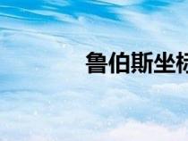 魯伯斯坐標點（魯伯斯坐標）