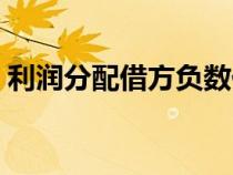 利潤分配借方負(fù)數(shù)代表什么（利潤分配借方）